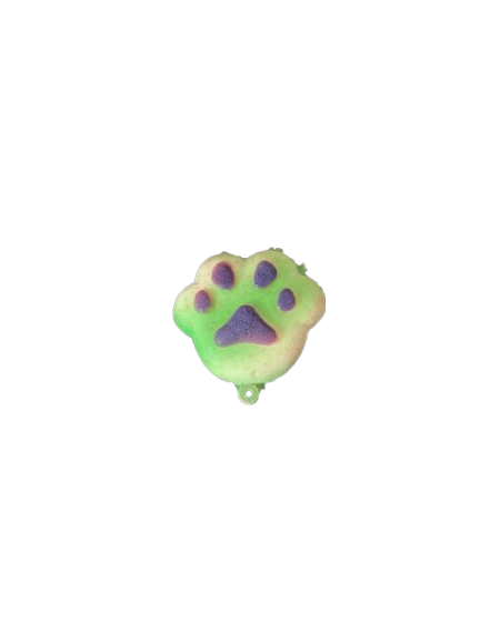 cute puppy paw